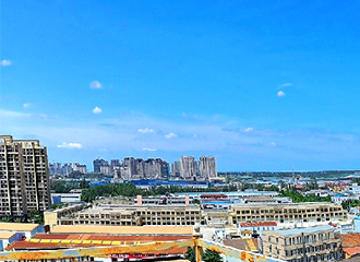 其他业务