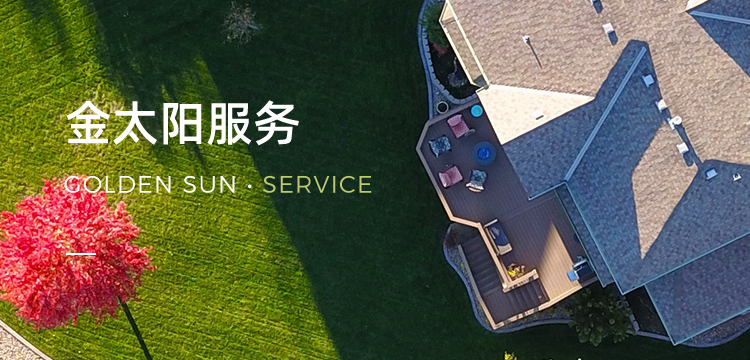 金太阳服务