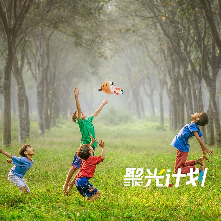 金太阳